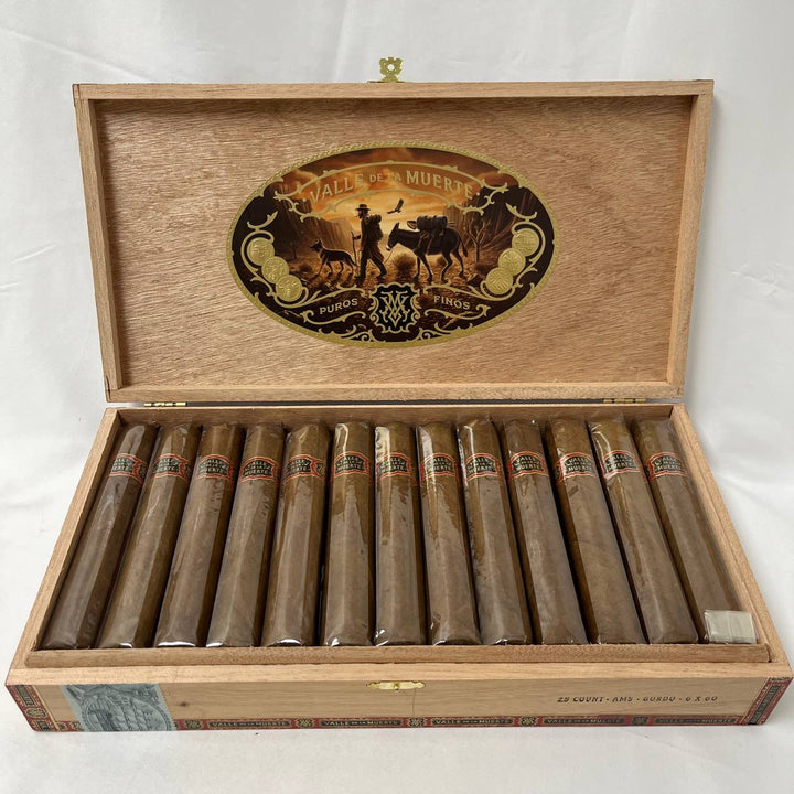 Casa Molina Valle de la Muerte AMS Gordo