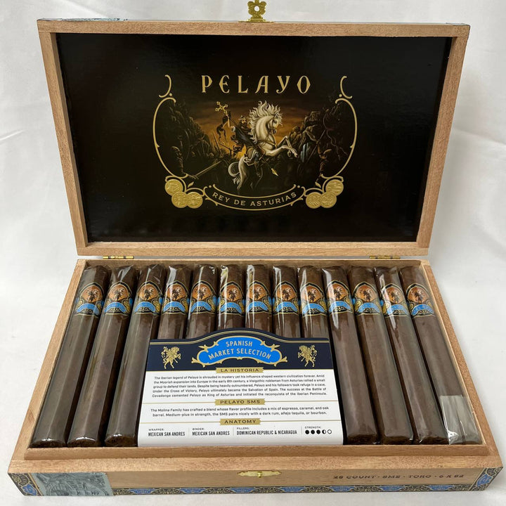 Casa Molina Pelayo SMS Toro
