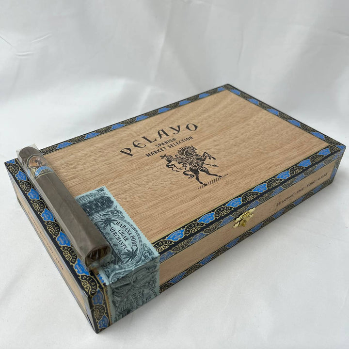 Casa Molina Pelayo SMS Toro