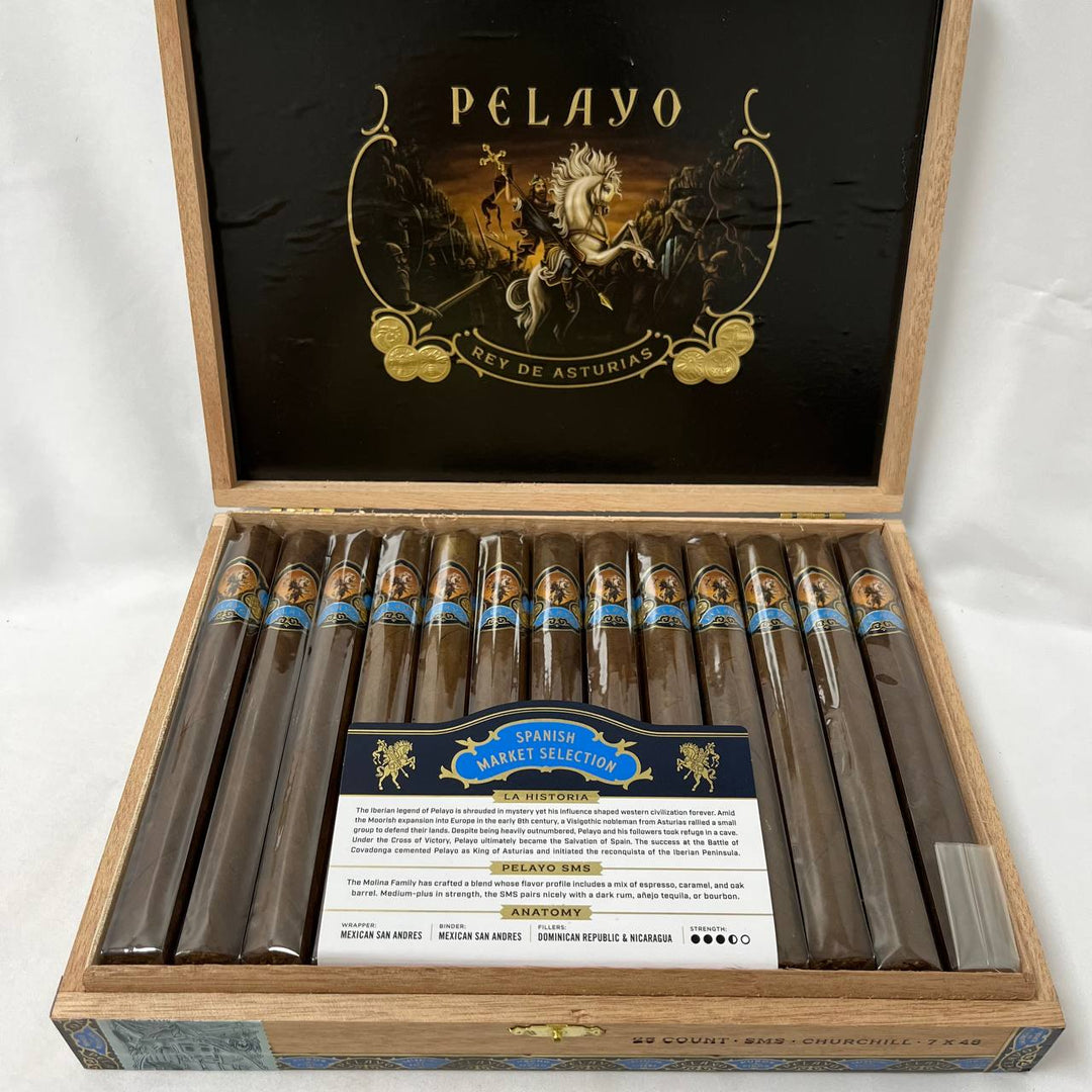 Casa Molina Pelayo SMS Churchill