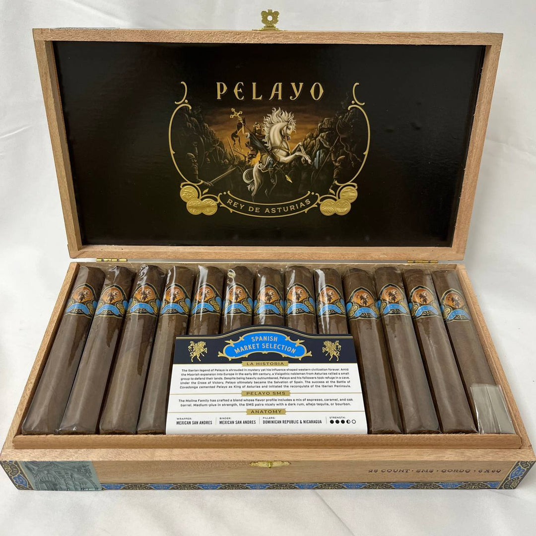 Casa Molina Pelayo SMS Gordo
