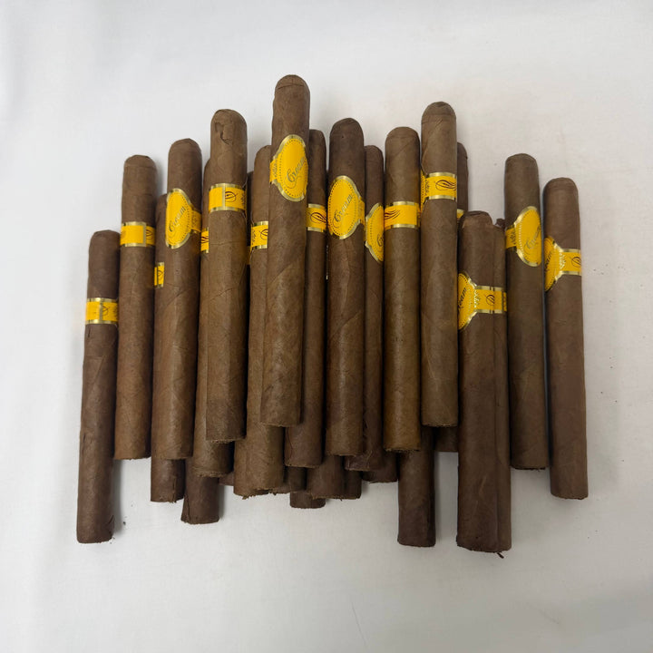 Dominican Cream Churchill -Damaged-