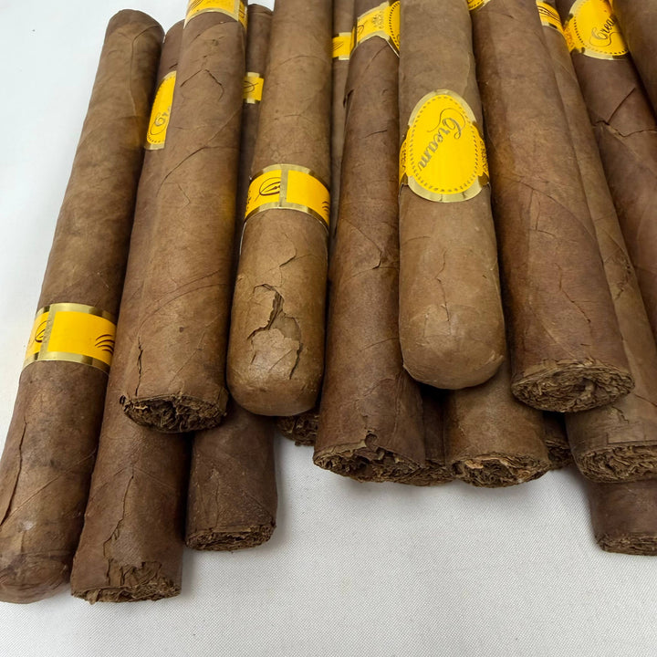 Dominican Cream Churchill -Damaged-