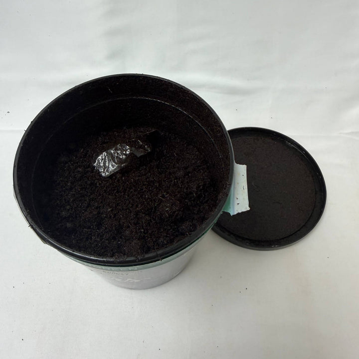 Stoker's Fine Cut Wintergreen -Damaged-