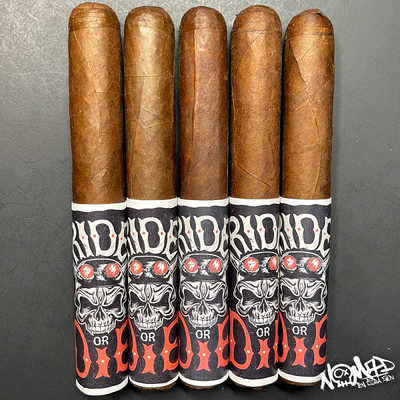 Sorry, Nomad Ride Or Die Special Edition Toro  image not available now!