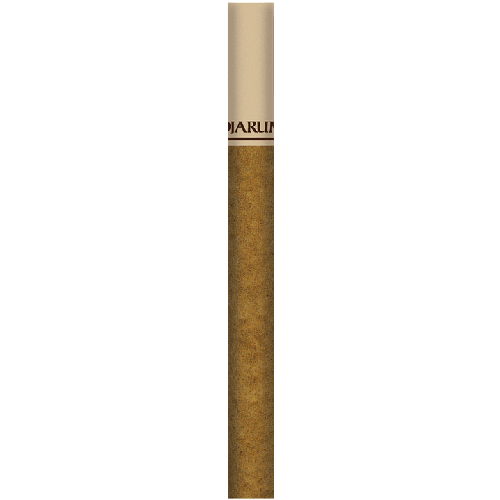 Djarum Select Filtered Cigars