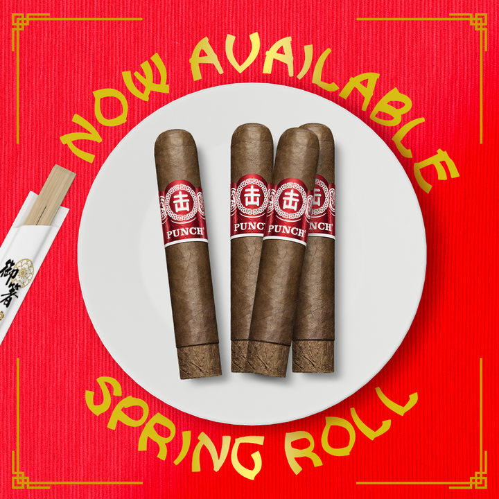 Punch Spring Roll 2023 LE Robusto