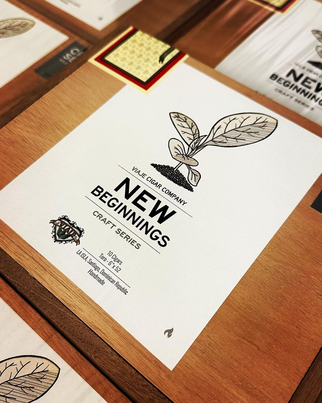 Viaje New Beginnings