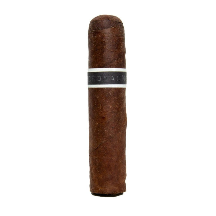 Sorry, RoMa Craft CroMagnon Mandible Gordo  image not available now!